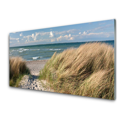 Glas foto Strand zee landschap van het gras