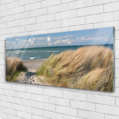 Glas foto Strand zee landschap van het gras