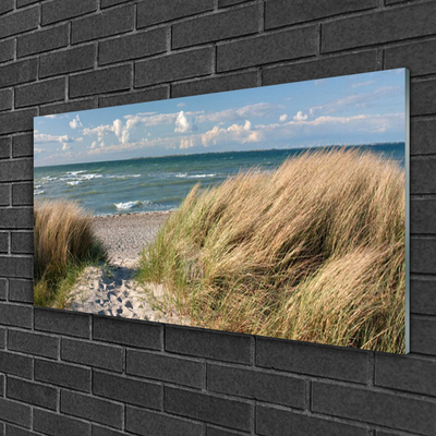 Glas foto Strand zee landschap van het gras