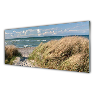 Glas foto Strand zee landschap van het gras