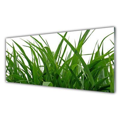 Glas foto Grass nature plant