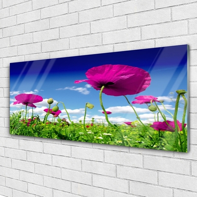 Glas foto Sky weide bloemen nature