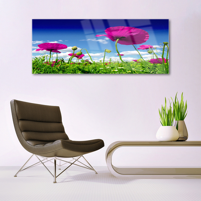 Glas foto Sky weide bloemen nature