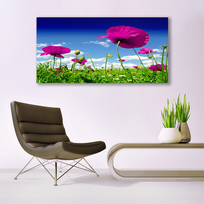 Glas foto Sky weide bloemen nature