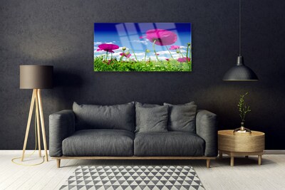 Glas foto Sky weide bloemen nature