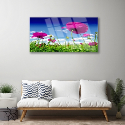 Glas foto Sky weide bloemen nature