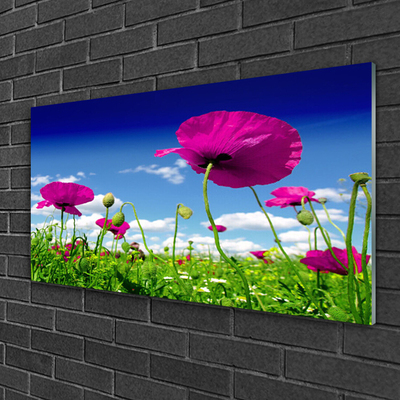 Glas foto Sky weide bloemen nature