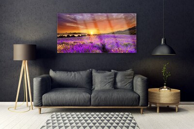 Glas foto Sunset gebied van de lavendel