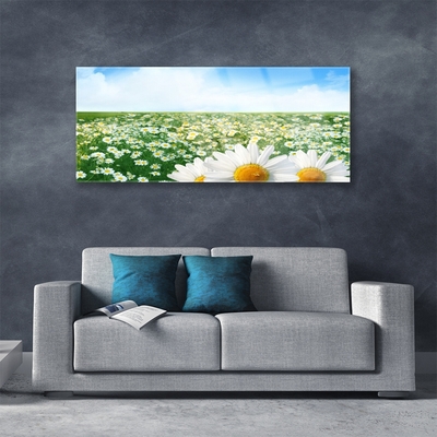 Glas foto Daisy meadow flowers field