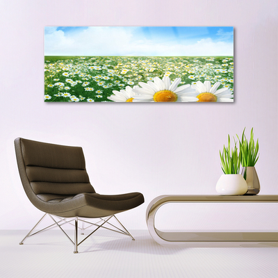 Glas foto Daisy meadow flowers field