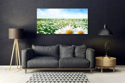 Glas foto Daisy meadow flowers field