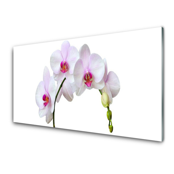 Glas foto Orchidee orchidee bloemen