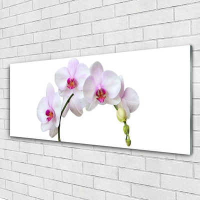 Glas foto Orchidee orchidee bloemen