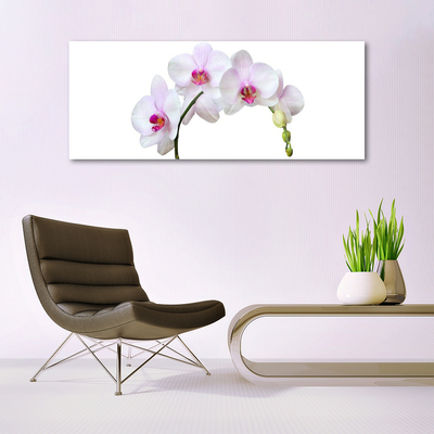 Glas foto Orchidee orchidee bloemen