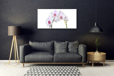 Glas foto Orchidee orchidee bloemen