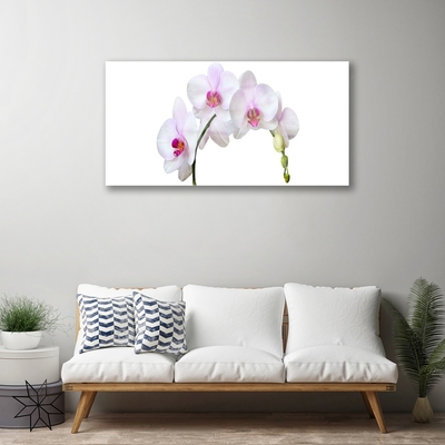 Glas foto Orchidee orchidee bloemen