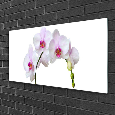 Glas foto Orchidee orchidee bloemen