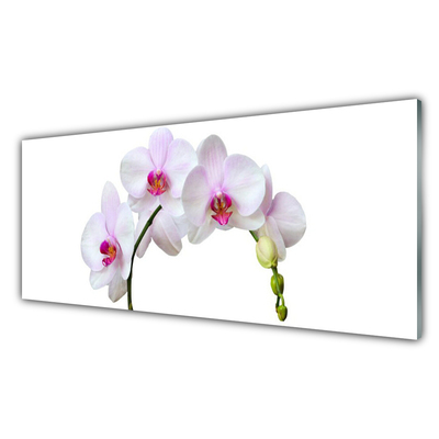 Glas foto Orchidee orchidee bloemen