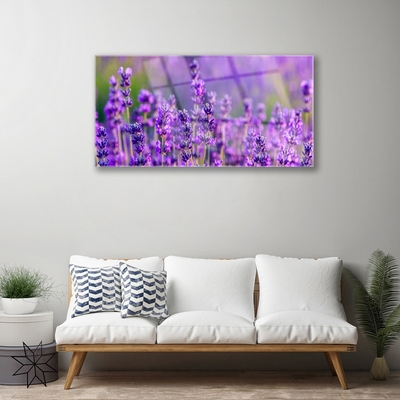 Glas foto Paarse lavendel field