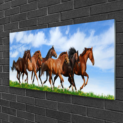 Glas foto Galopperen paarden op weiland
