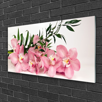 Glas foto Orchideebloemen spa