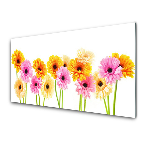 Glas foto Kleurrijke bloemen daisy