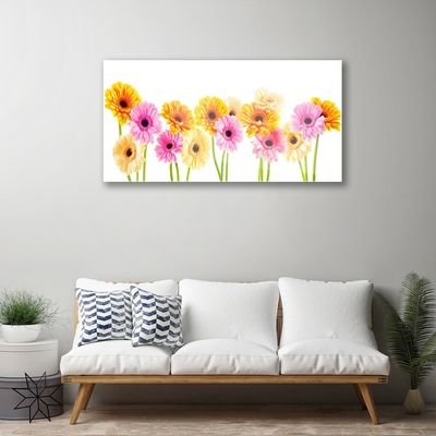 Glas foto Kleurrijke bloemen daisy