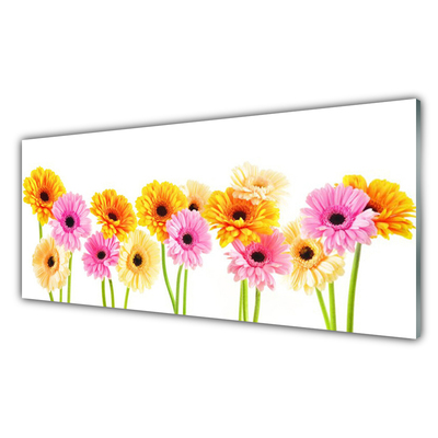 Glas foto Kleurrijke bloemen daisy