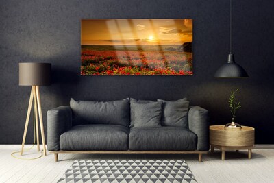 Glas foto Veld met klaprozen sunset meadow