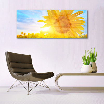 Foto schilderij op glas Zonnebloem sun flower
