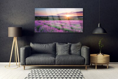 Foto schilderij op glas West meadow lavender fields