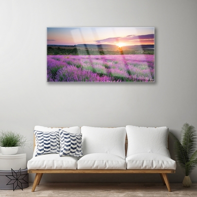 Foto schilderij op glas West meadow lavender fields