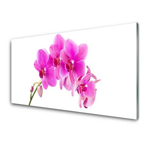 Foto schilderij op glas Orchidee bloem orchidee