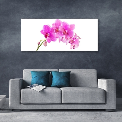 Foto schilderij op glas Orchidee bloem orchidee