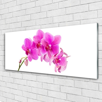 Foto schilderij op glas Orchidee bloem orchidee