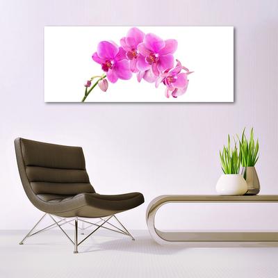 Foto schilderij op glas Orchidee bloem orchidee