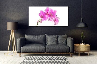 Foto schilderij op glas Orchidee bloem orchidee