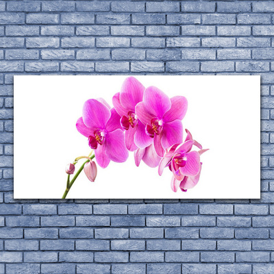 Foto schilderij op glas Orchidee bloem orchidee