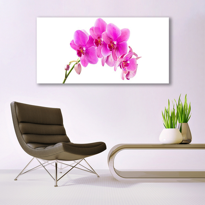 Foto schilderij op glas Orchidee bloem orchidee