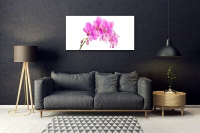 Foto schilderij op glas Orchidee bloem orchidee