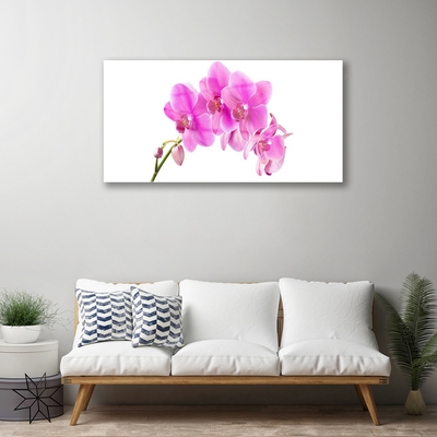 Foto schilderij op glas Orchidee bloem orchidee