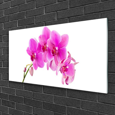 Foto schilderij op glas Orchidee bloem orchidee