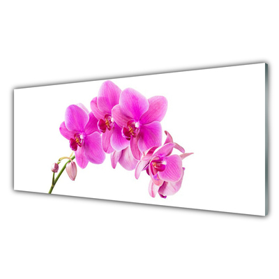 Foto schilderij op glas Orchidee bloem orchidee