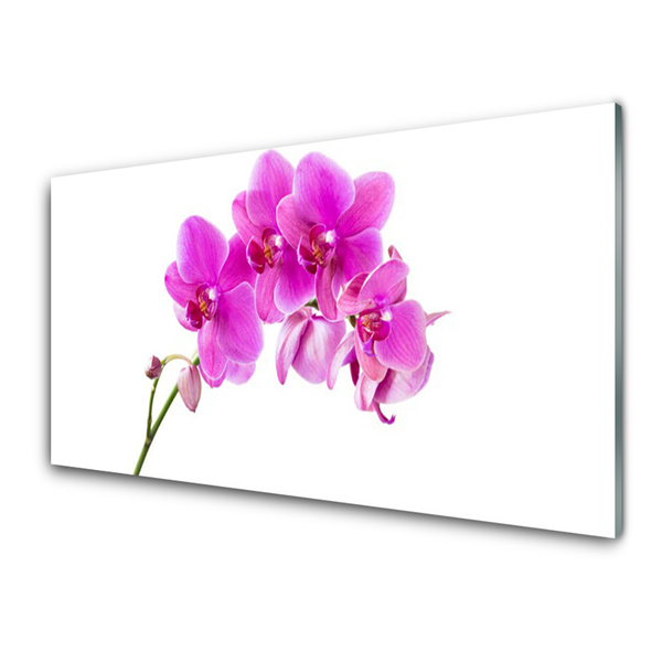 Foto schilderij op glas Orchidee bloem orchidee