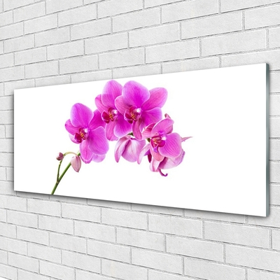 Foto schilderij op glas Orchidee bloem orchidee