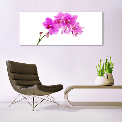 Foto schilderij op glas Orchidee bloem orchidee