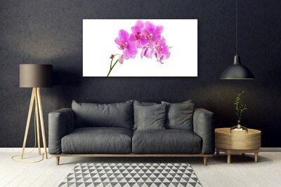 Foto schilderij op glas Orchidee bloem orchidee