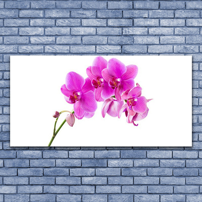 Foto schilderij op glas Orchidee bloem orchidee