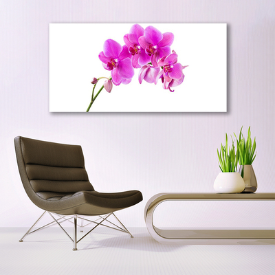 Foto schilderij op glas Orchidee bloem orchidee