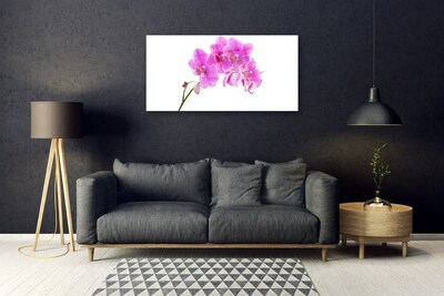 Foto schilderij op glas Orchidee bloem orchidee